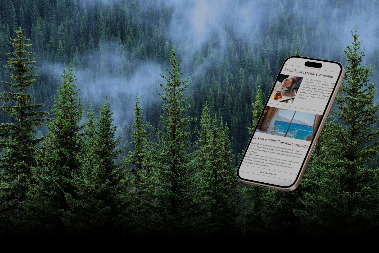 Community Management